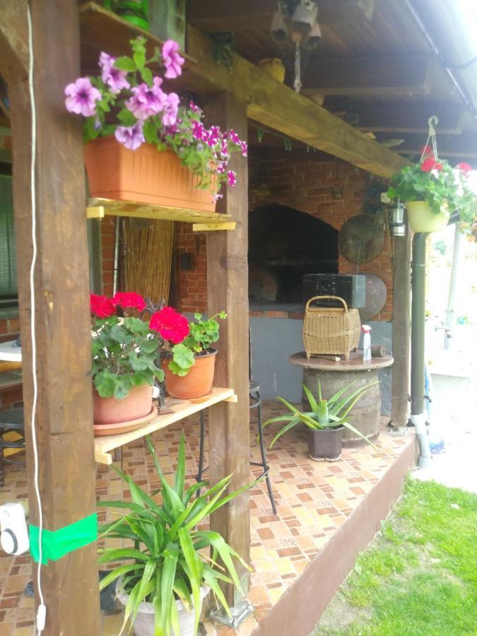 Ribarska Vila Donje Lohovo Zewnętrze zdjęcie
